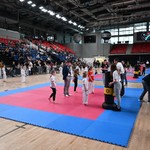 zawodytaekwondoolimpijskie02.JPG